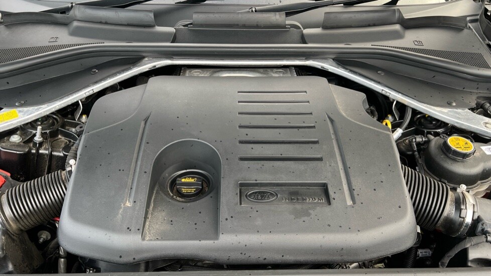 Used Land Rover Range Rover 2023 for sale - 77021861: Photo 30