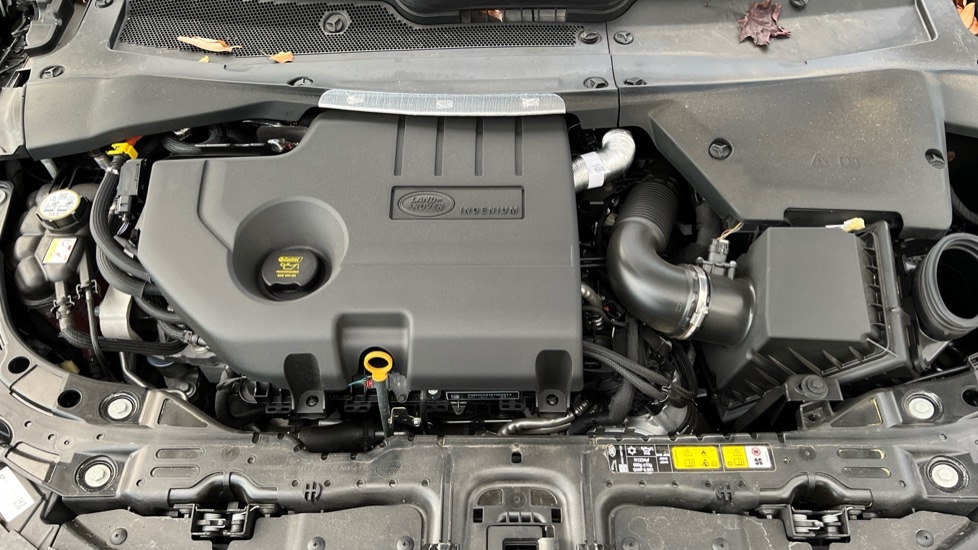 Used Land Rover Range Rover Evoque 2025 for sale - 76587071: Photo 30