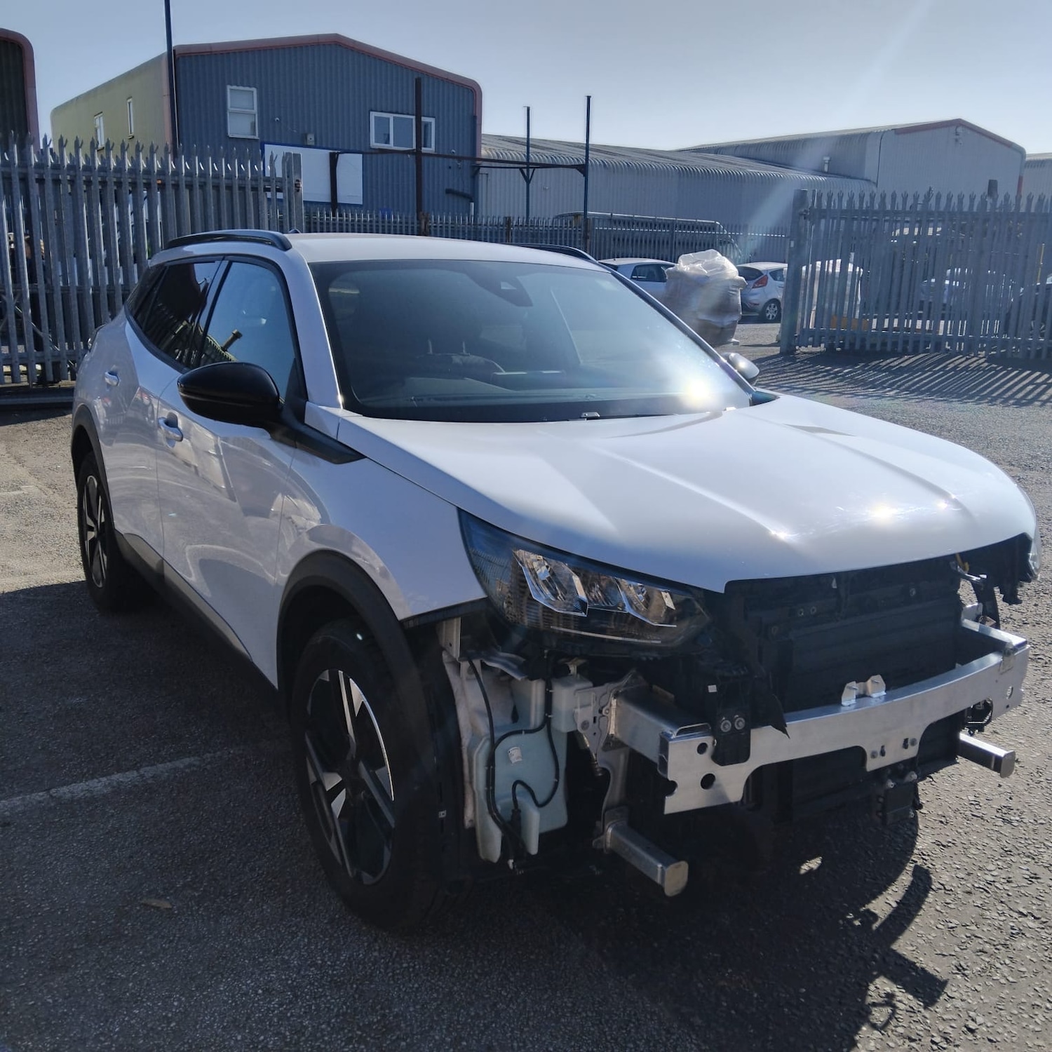 Used Peugeot 2008 2024 for sale - 77791044: Photo 12