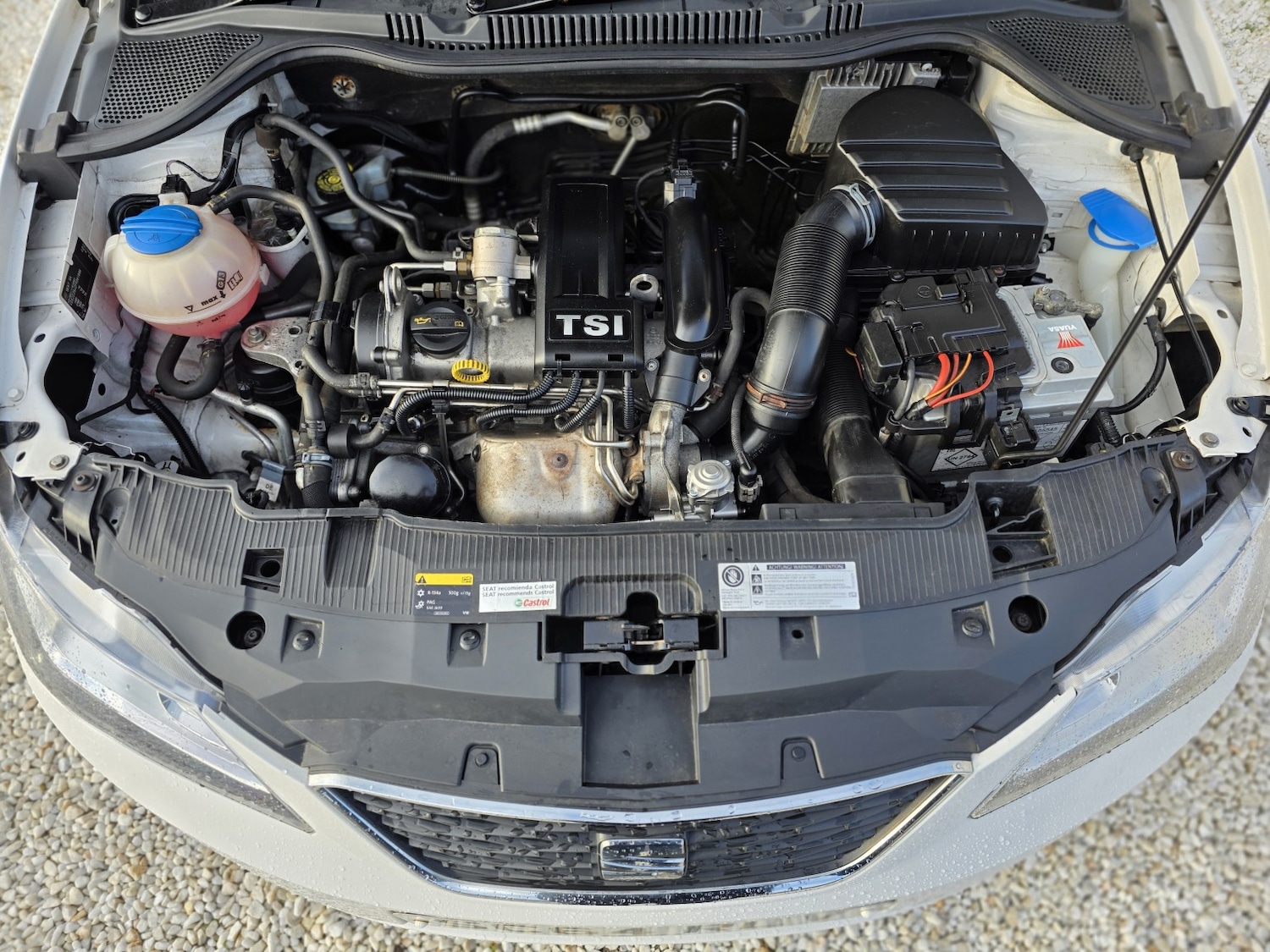 Used SEAT Ibiza 2014 for sale - 77400030: Photo 19