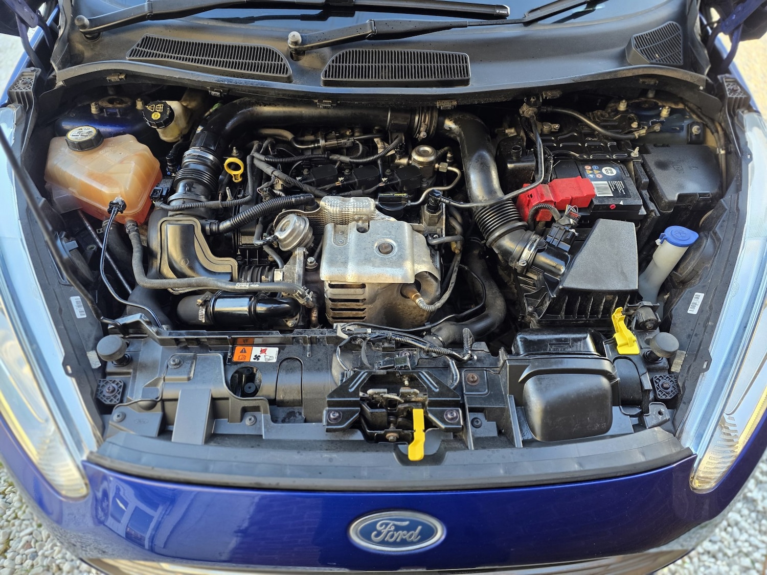 Used Ford Fiesta 2014 for sale - 77213472: Photo 22