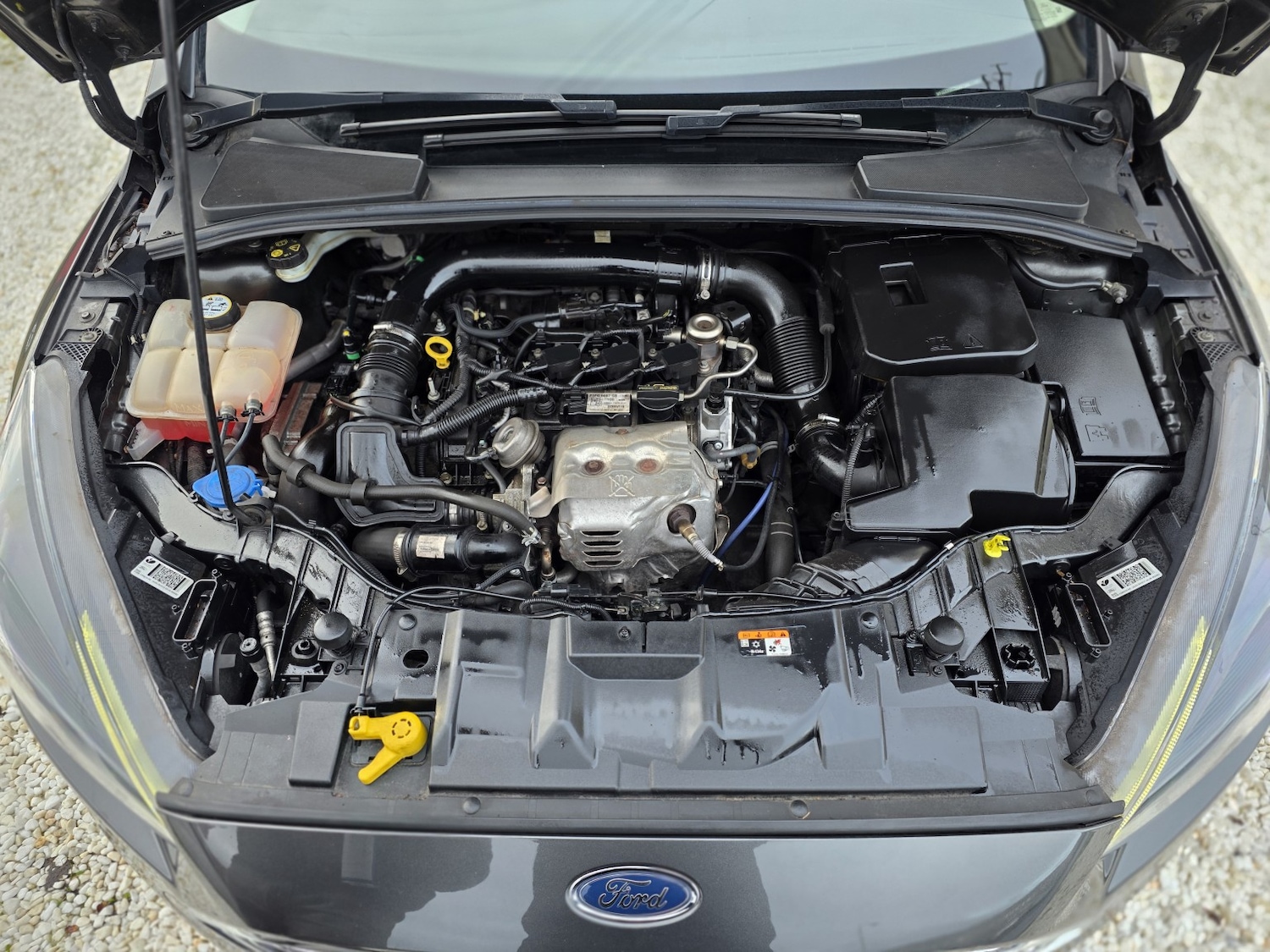 Used Ford Focus 2016 for sale - 77162337: Photo 22