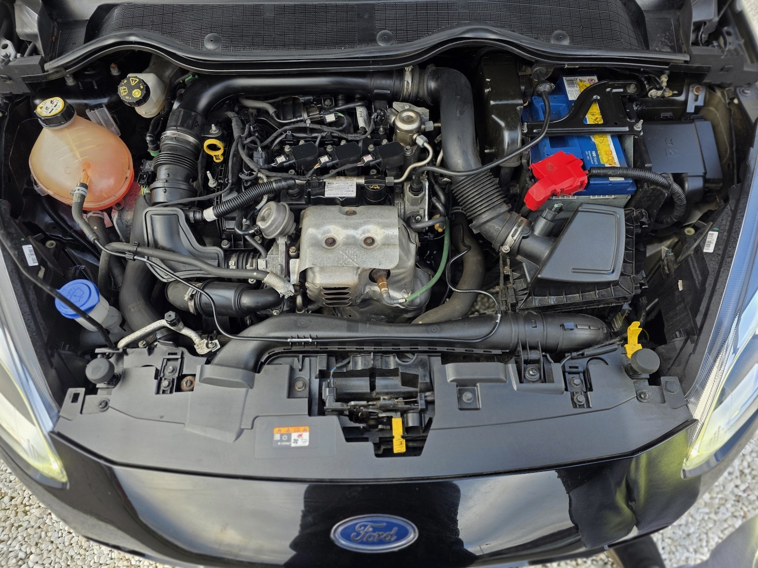 Used Ford Fiesta 2018 for sale - 77377767: Photo 19