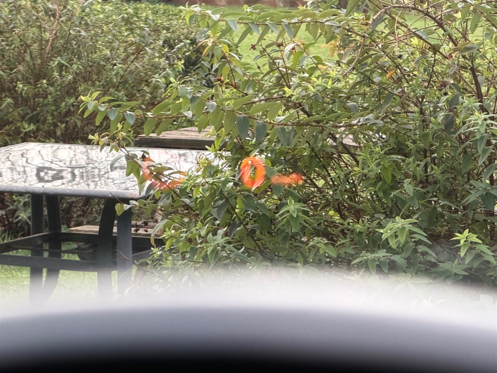 Used BMW X6 2012 for sale - 77539065: Photo 34