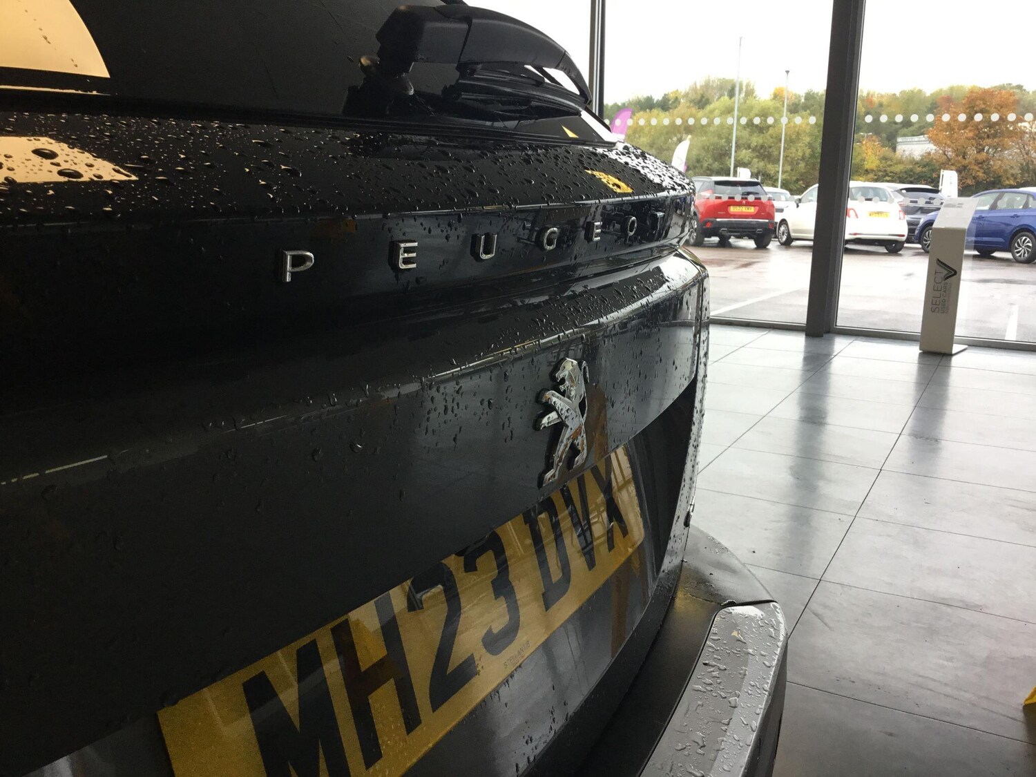 Used Peugeot 2008 2023 for sale - 76326662: Photo 23