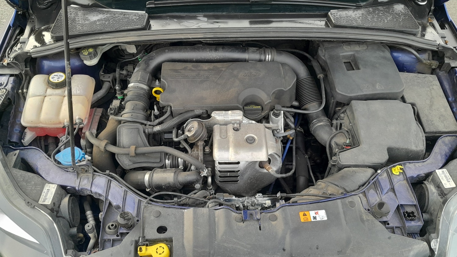 Used Ford Focus 2014 for sale - 77337784: Photo 19