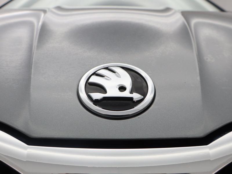 Used Skoda Fabia 2024 for sale - 77724688: Photo 15