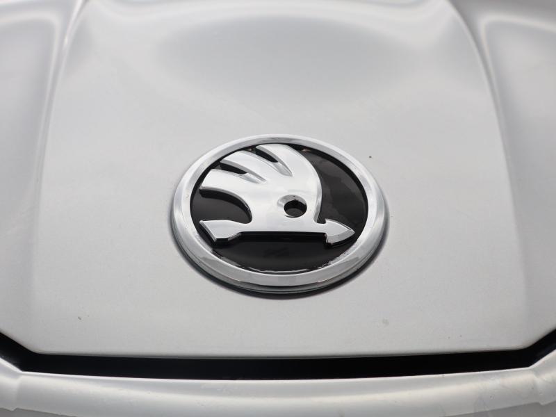 Used Skoda Fabia 2025 for sale - 77746909: Photo 15