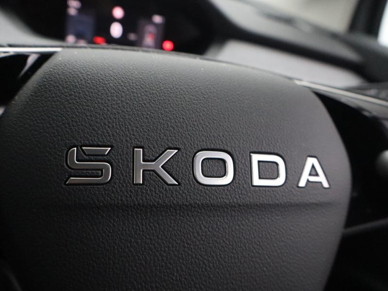 Used Skoda Enyaq 2025 for sale - 78038847: Photo 37