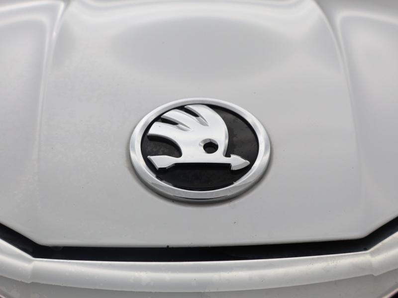 Used Skoda Fabia 2024 for sale - 77746956: Photo 15