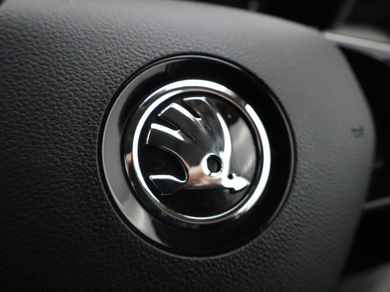 Used Skoda Fabia 2024 for sale - 77746956: Photo 34