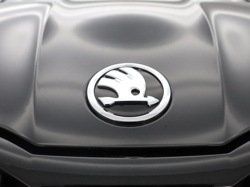 Used Skoda Fabia 2024 for sale - 77724713: Photo 15