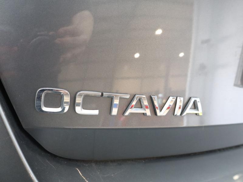 Used Skoda Octavia 2023 for sale - 77746921: Photo 17