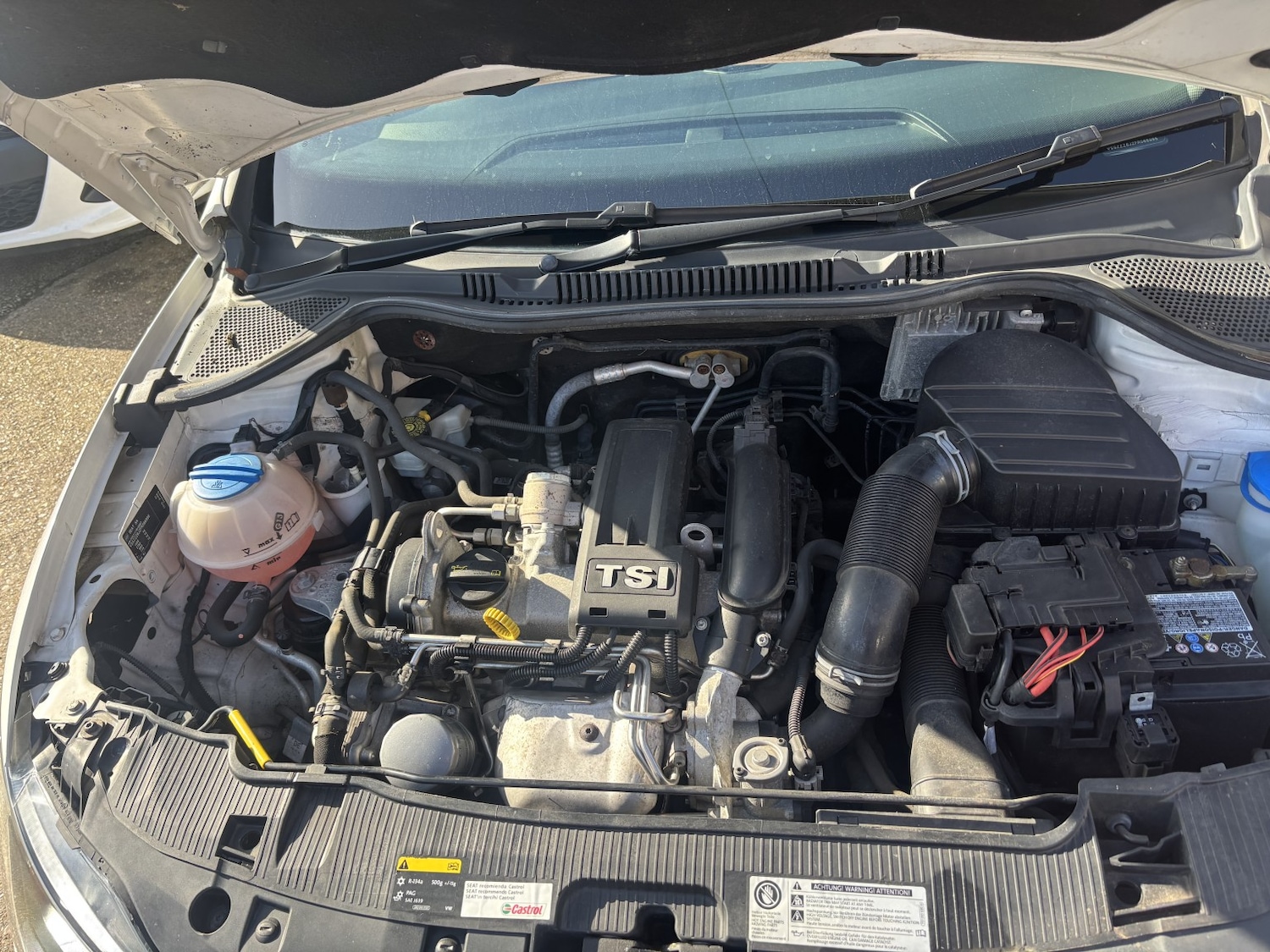 Used SEAT Ibiza 2015 for sale - 77622459: Photo 10