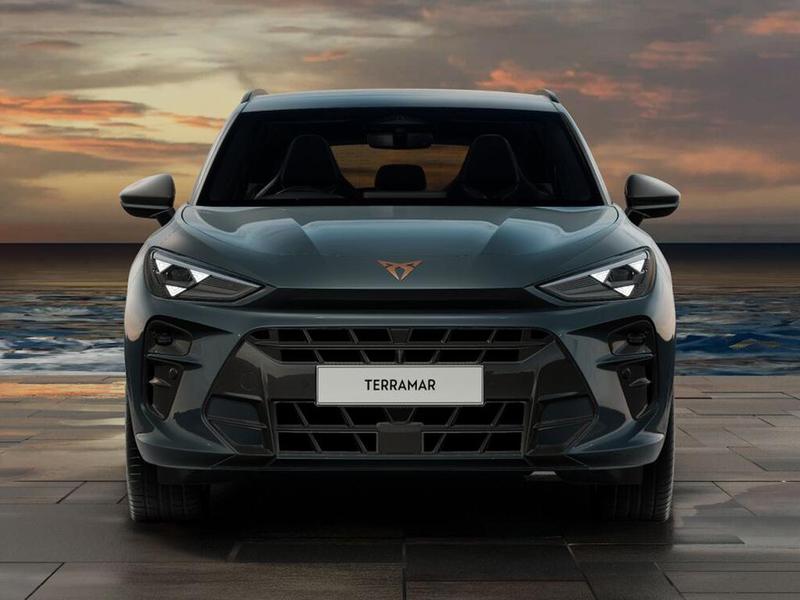 Used Cupra Terramar for sale - 77447629: Photo 11