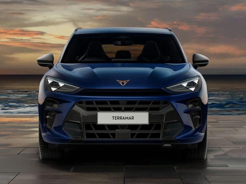 Used Cupra Terramar for sale - 77447616: Photo 11