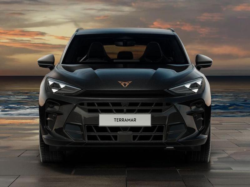 Used Cupra Terramar for sale - 77447626: Photo 11