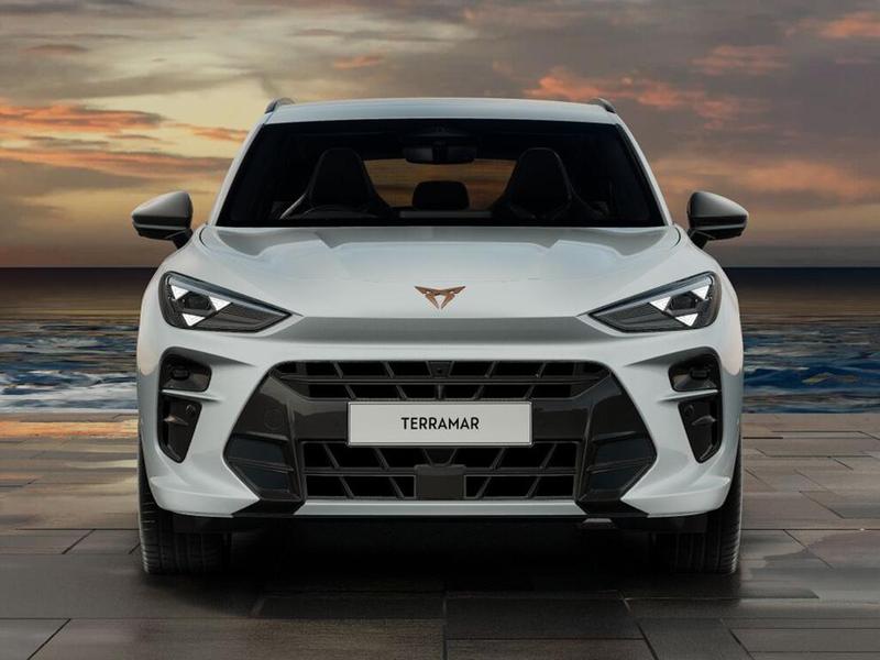 Used Cupra Terramar for sale - 77447623: Photo 11