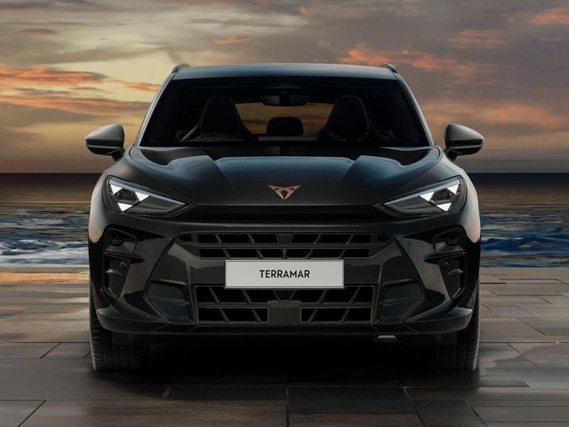 Used Cupra Terramar for sale - 77447575: Photo 10