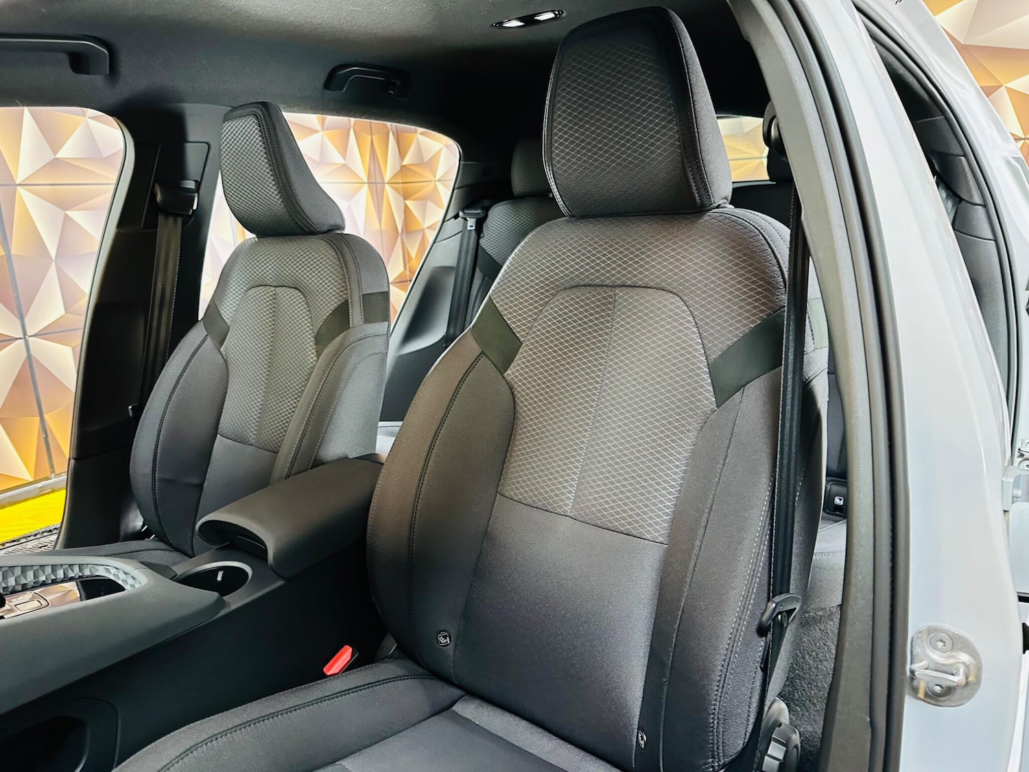 Used Polestar Polestar 2 for sale - 77853091: Photo 18