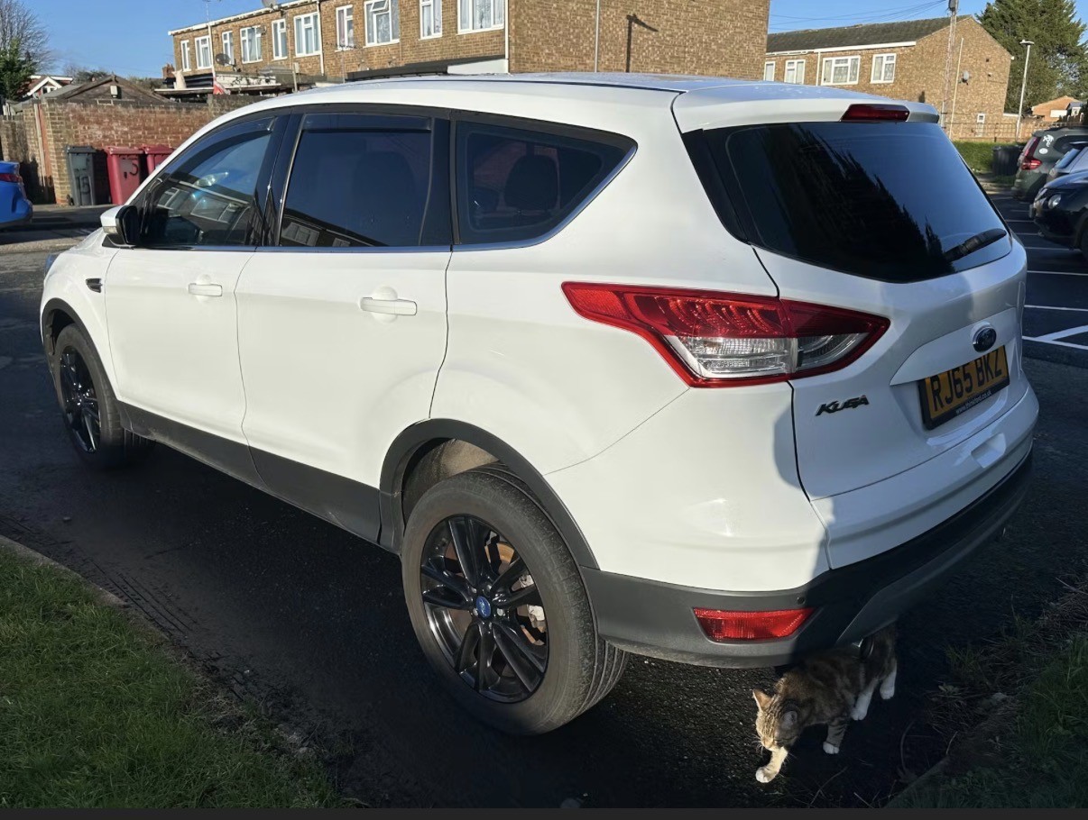 Used Ford Kuga 2015 for sale - 77065659: Photo 3
