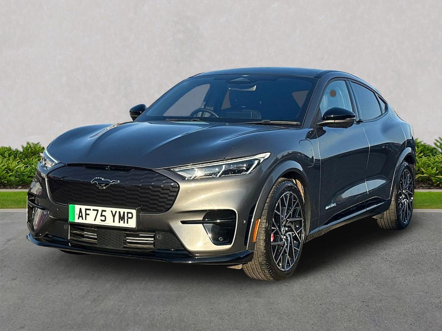 Used Ford Mustang Mach-E 2025 for sale - 78194782: Photo 22