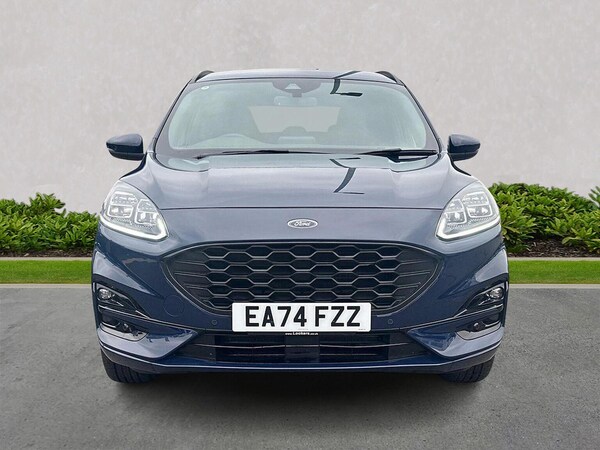 Used Ford Kuga 2024 for sale - 75436549: Photo 5