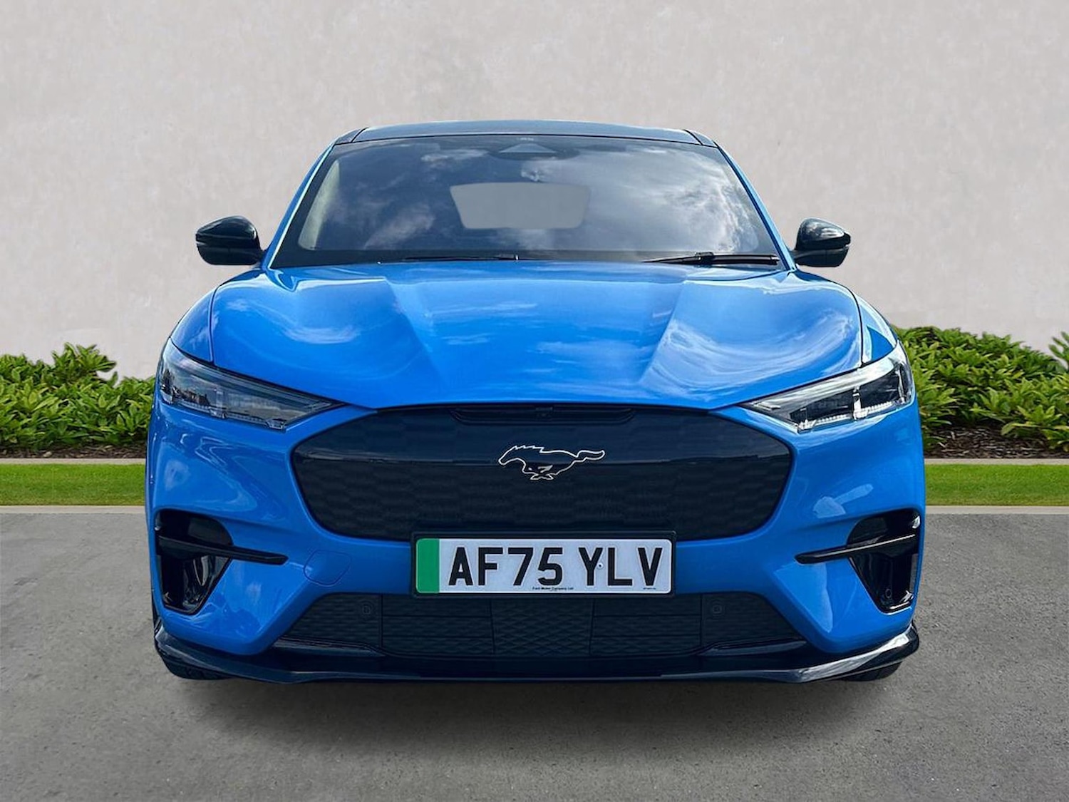 Used Ford Mustang Mach-E 2025 for sale - 78194697: Photo 7