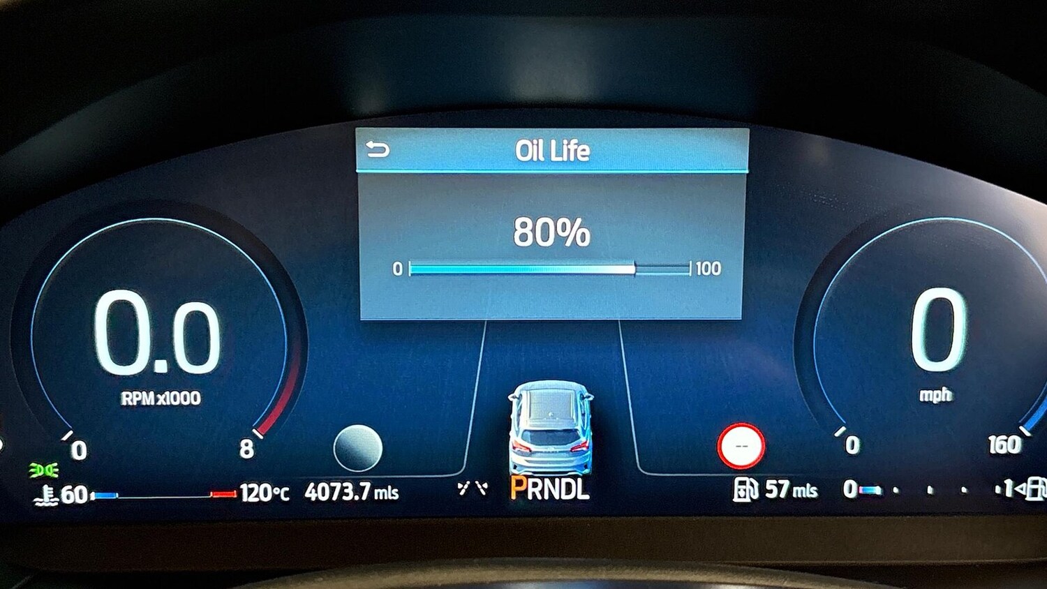 Used Ford Focus 2025 for sale - 78195188: Photo 14