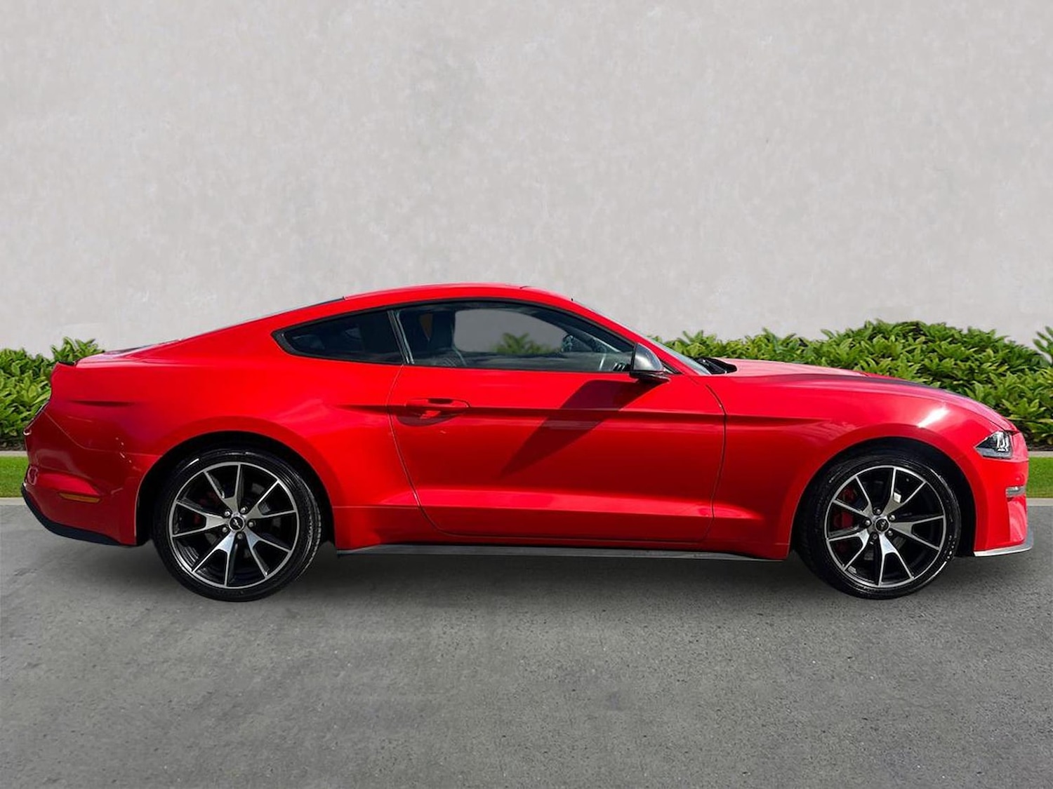 Used Ford Mustang 2020 for sale - 78195113: Photo 5