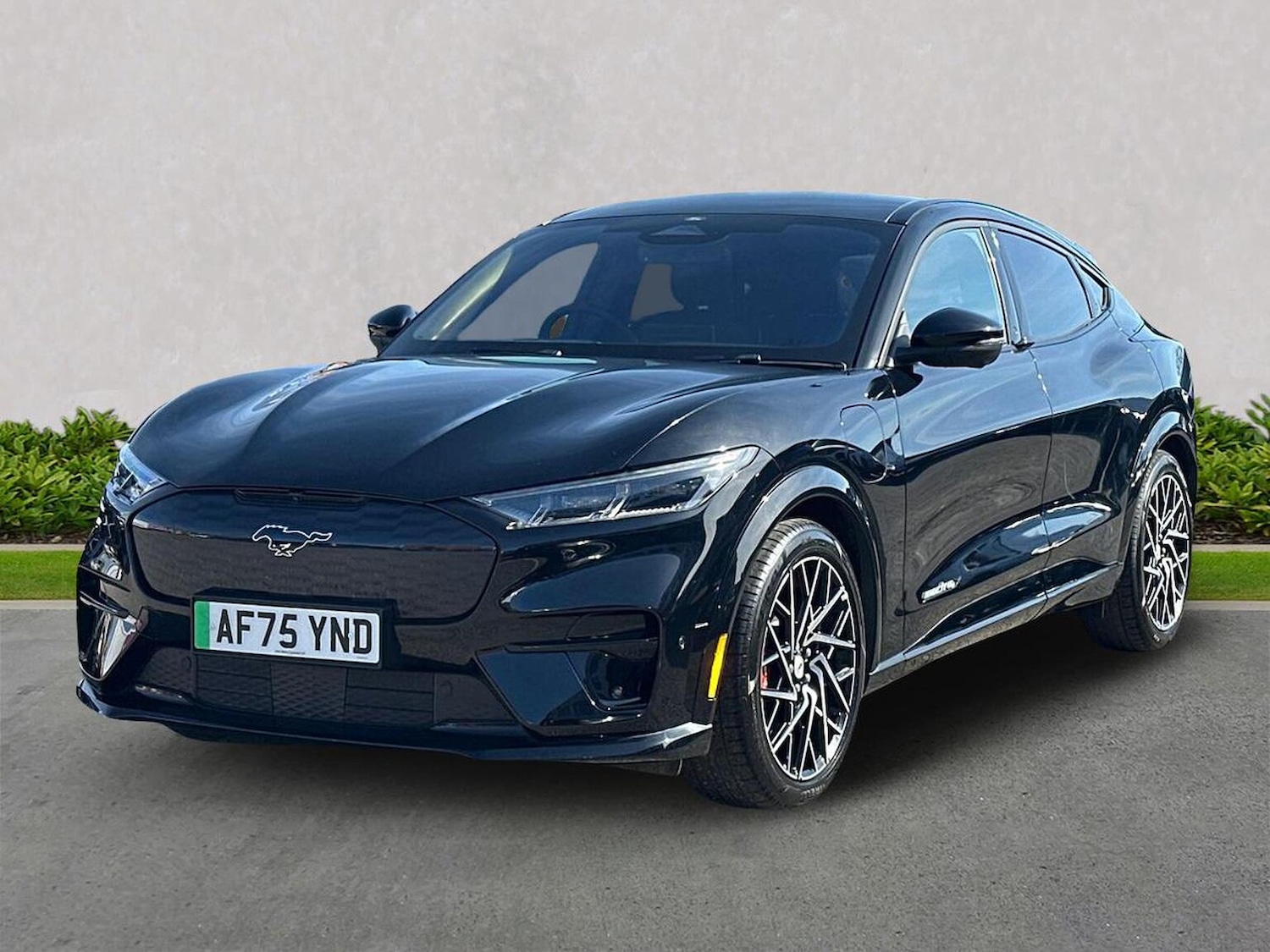 Used Ford Mustang Mach-E 2025 for sale - 78194993: Photo 22