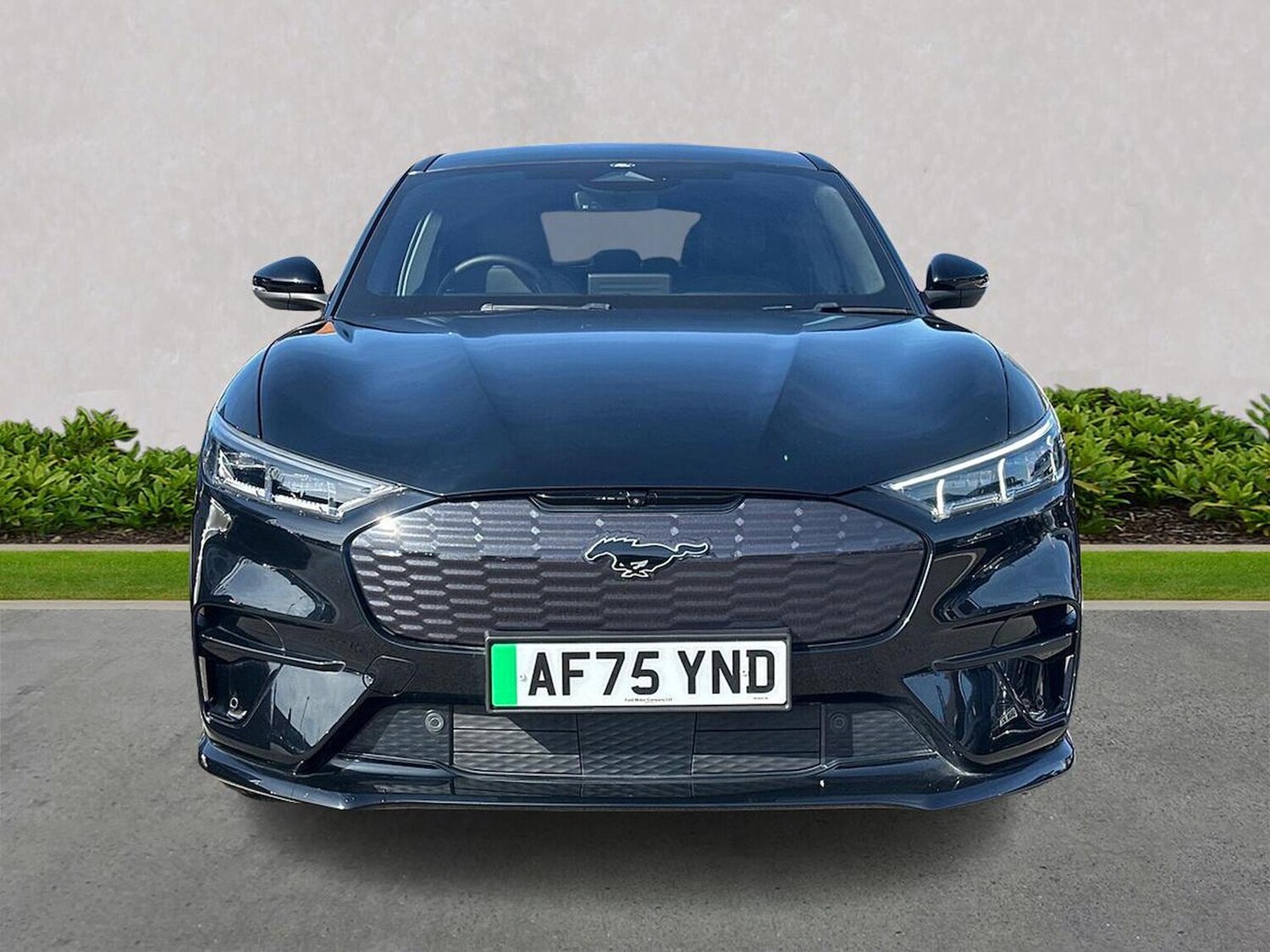 Used Ford Mustang Mach-E 2025 for sale - 78194993: Photo 7