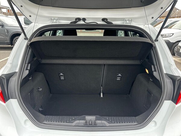 Used Ford Fiesta 2020 for sale - 76159599: Photo 18