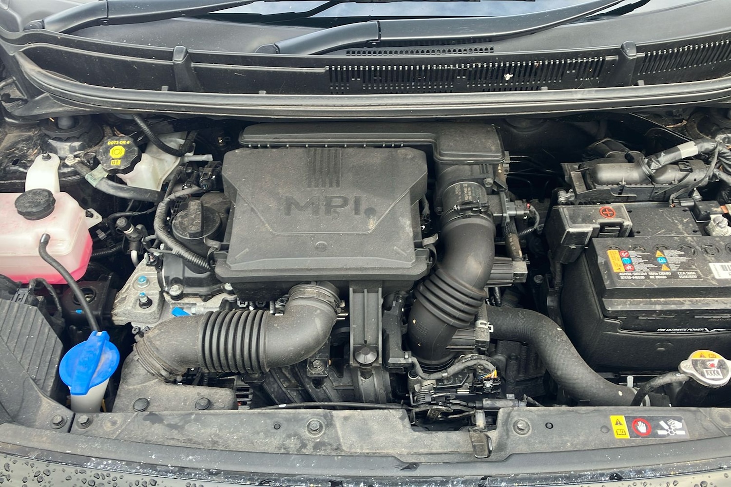 Used Kia Picanto 2024 for sale - 77792692: Photo 41