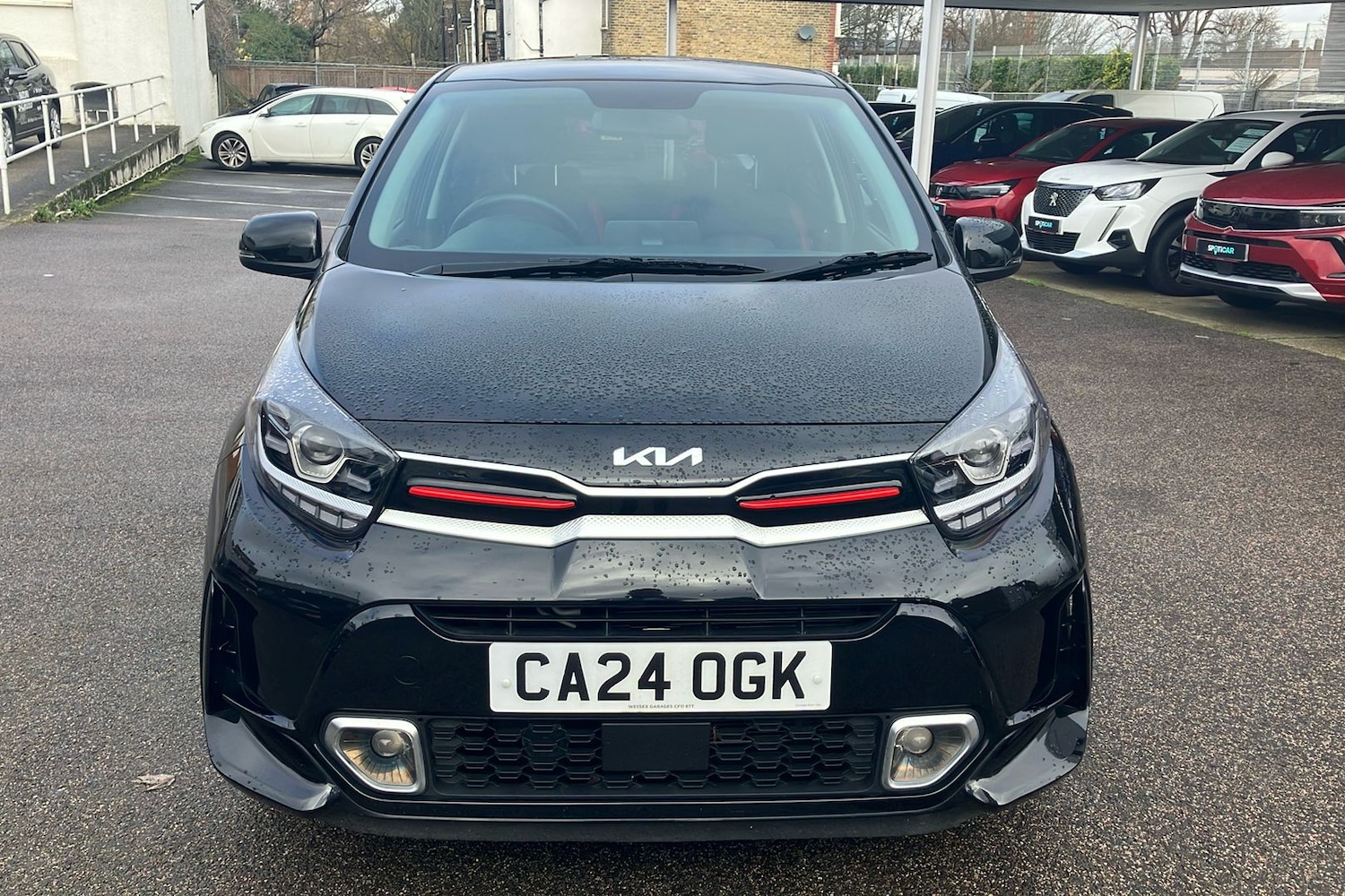 Used Kia Picanto 2024 for sale - 77792692: Photo 8