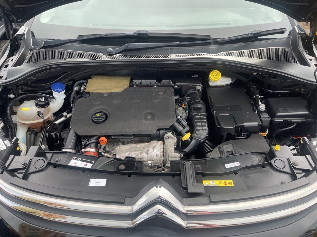 Used Citroen C3 2019 for sale - 75923754: Photo 26