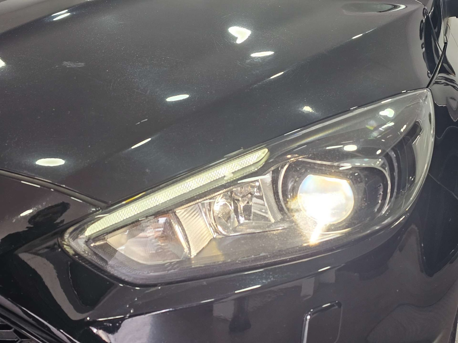 Used Ford Focus 2016 for sale - 77604049: Photo 14