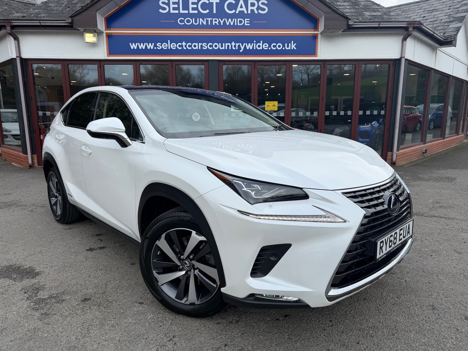 Used Lexus NX 2019 for sale - 77804994: Photo 2