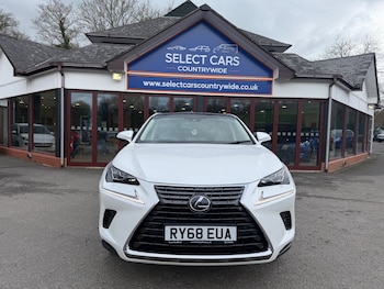 Used Lexus NX 2019 for sale - 79125312: Photo