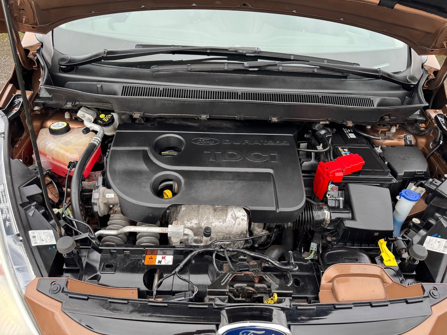 Used Ford B-MAX 2013 for sale - 76440608: Photo 39