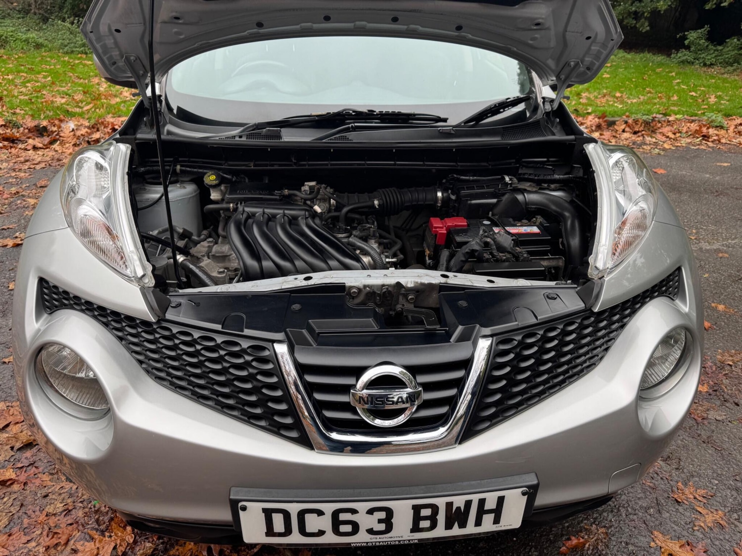 Used Nissan Juke 2013 for sale - 76239069: Photo 40