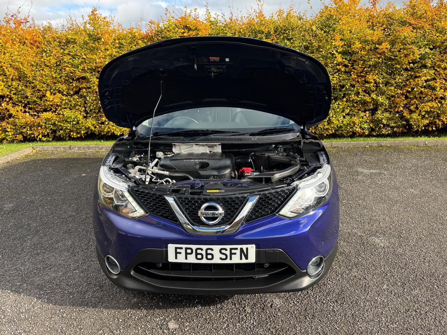 Used Nissan Qashqai 2016 for sale - 76440439: Photo 35