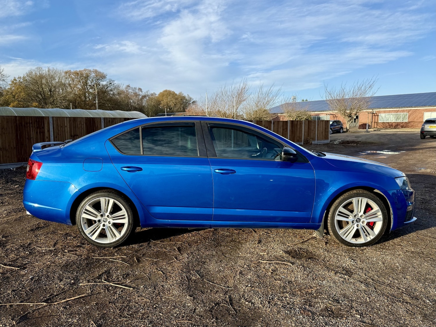 Used Skoda Octavia 2014 for sale - 76836958: Photo 8