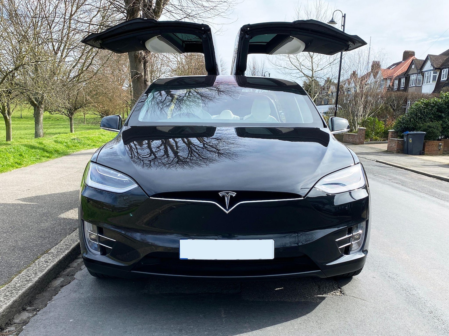 Used Tesla Model X 2017 for sale - 76337166: Photo 1