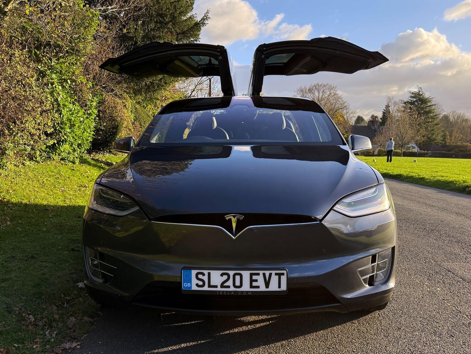 Used Tesla Model X 2020 for sale - 76620258: Photo 1