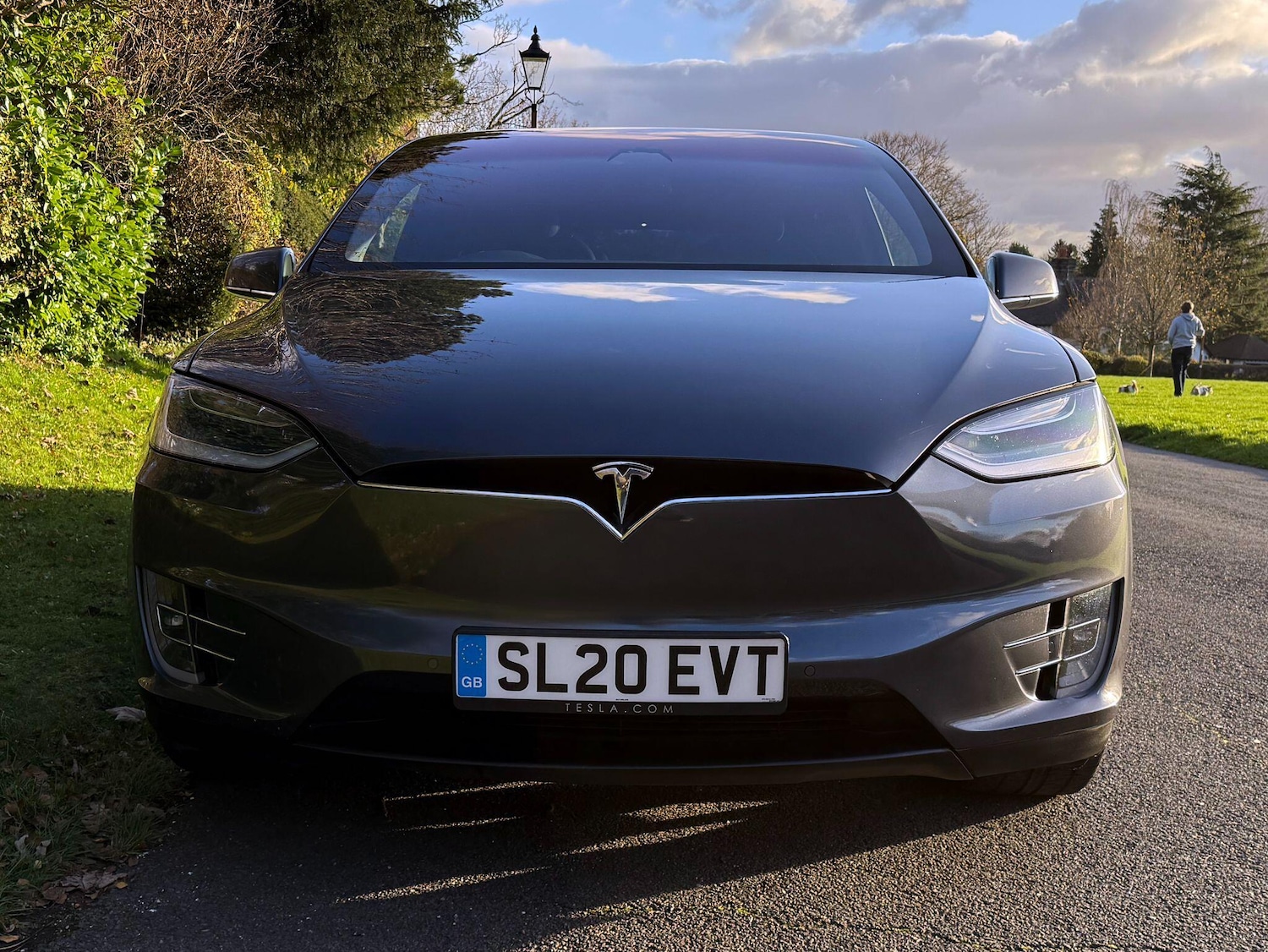 Used Tesla Model X 2020 for sale - 76620258: Photo 11