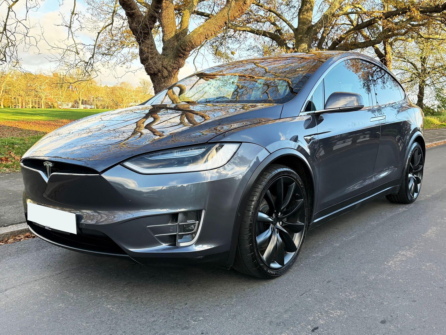 Used Tesla Model X for sale - 78220332: Photo 10