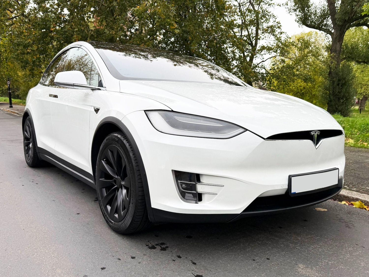 Used Tesla Model X 2020 for sale - 77982236: Photo 1