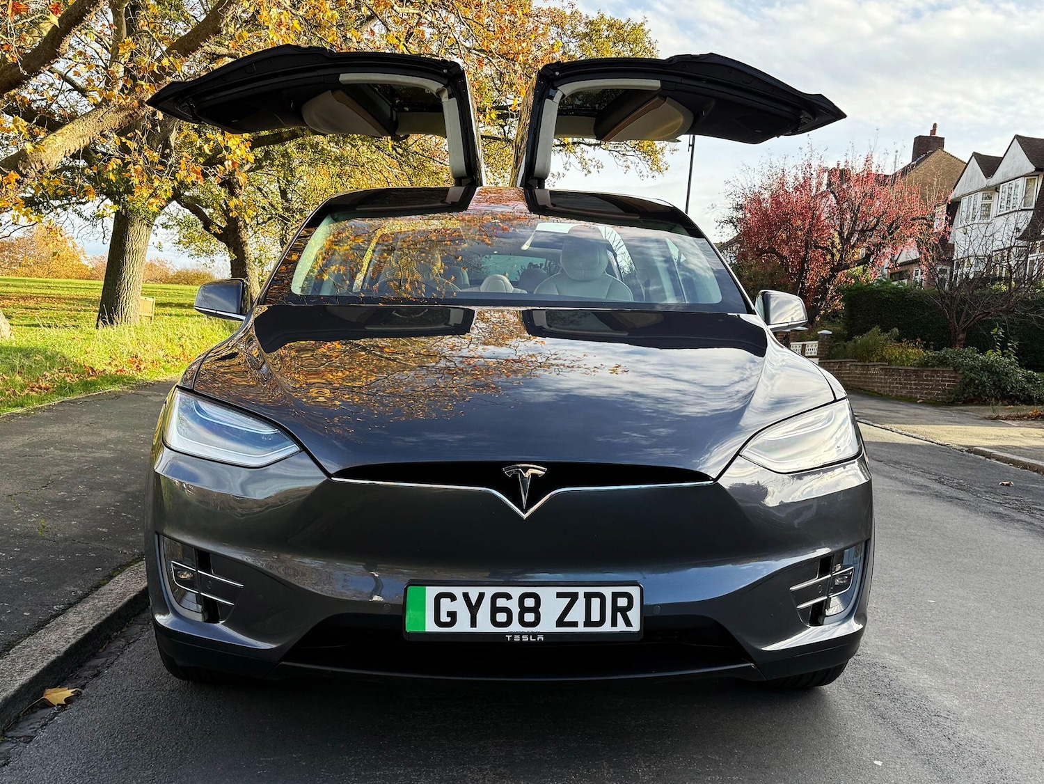 Used Tesla Model X 2019 for sale - 76499459: Photo 1