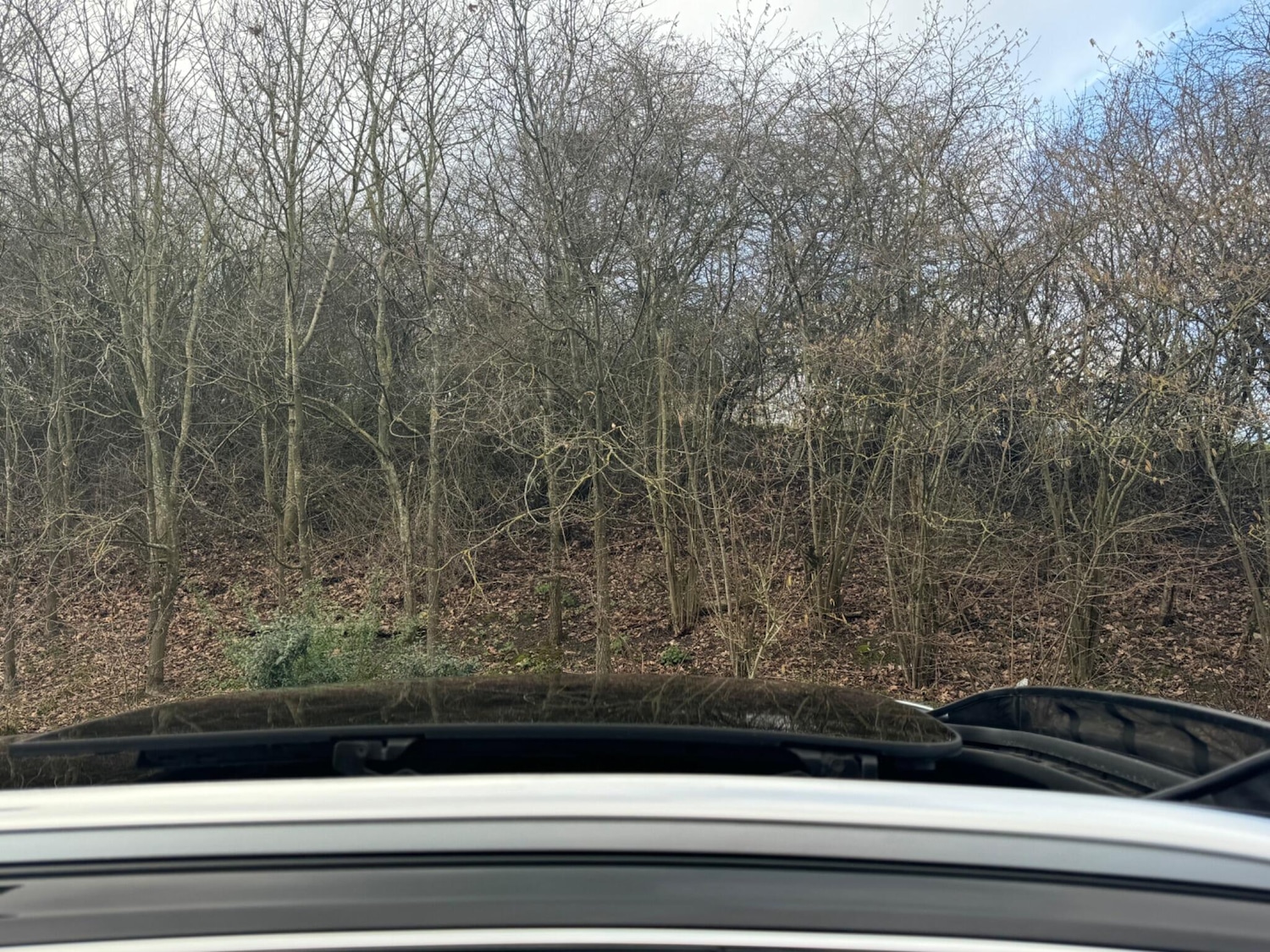 Used Audi Q5 2014 for sale - 77671740: Photo 47